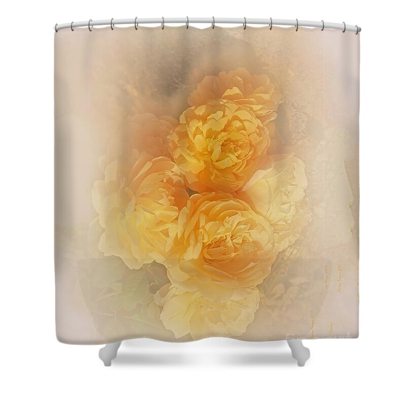 Flowers Shower Curtain featuring the photograph Dreamy Roses by Elaine Teague