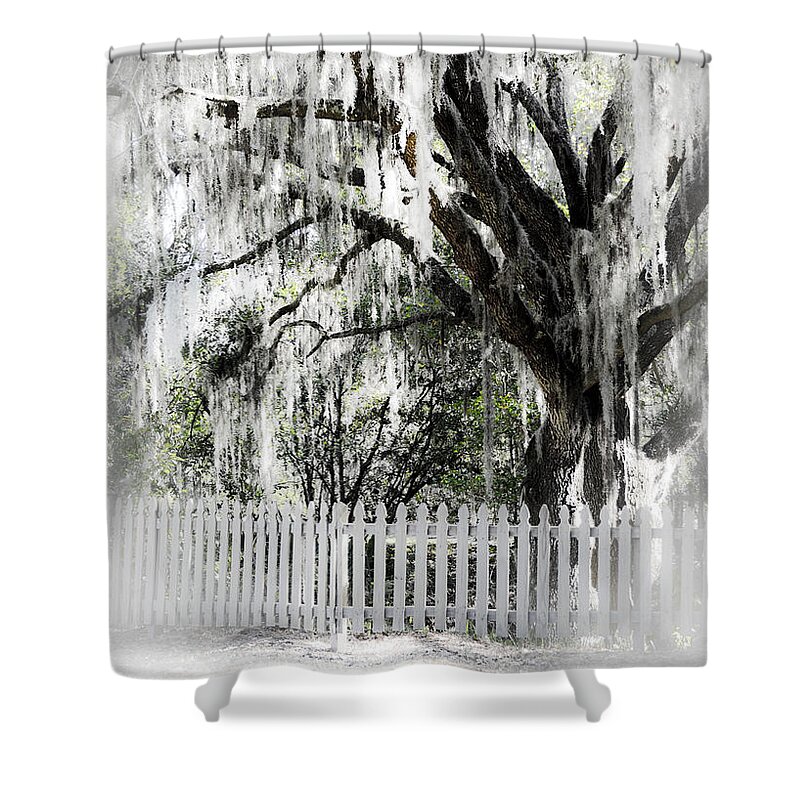 Southern Oak Tree Shower Curtain featuring the photograph Dreamy Southern Oak Tree by Carolyn Marshall