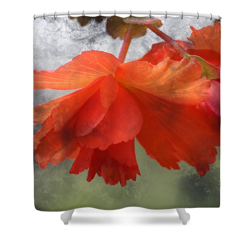 Flower Shower Curtain featuring the photograph Dreamy Tangerine by Julie Lueders 
