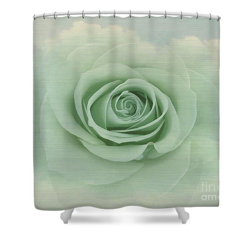 Dreamy Shower Curtain featuring the painting Dreamy Vintage Floating Rose by Judy Palkimas