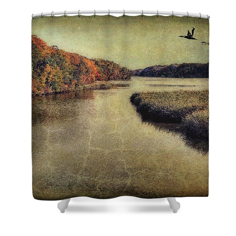 Topaz Shower Curtain featuring the photograph Dreary Autumn by Reynaldo Williams