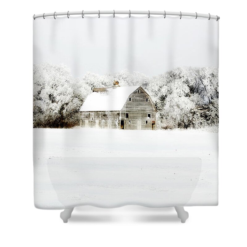 Barn Shower Curtain featuring the photograph Dressed in White by Julie Hamilton