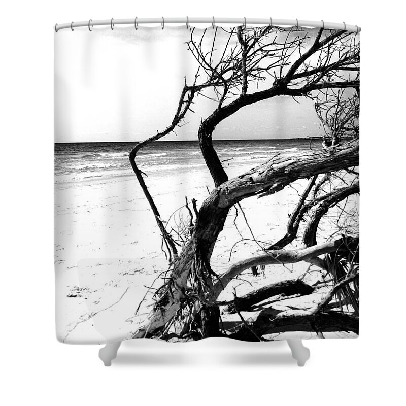Ocean Sea And Florida Ocean Art Shower Curtain featuring the photograph Drift by Iconic Images Art Gallery David Pucciarelli