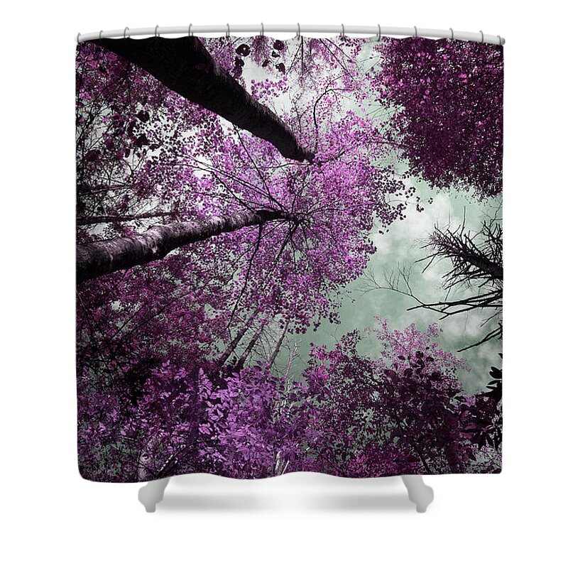 Tinted Trees Shower Curtain featuring the photograph Drifting by Mike Eingle