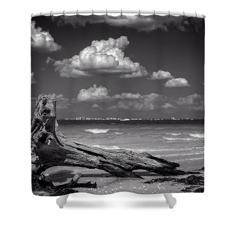Sanibel Island Shower Curtain featuring the photograph Driftwood and Fort Myers in Black and White by Greg and Chrystal Mimbs