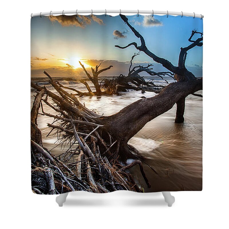 Landscape Shower Curtain featuring the photograph Driftwood Beach 7 by Dillon Kalkhurst