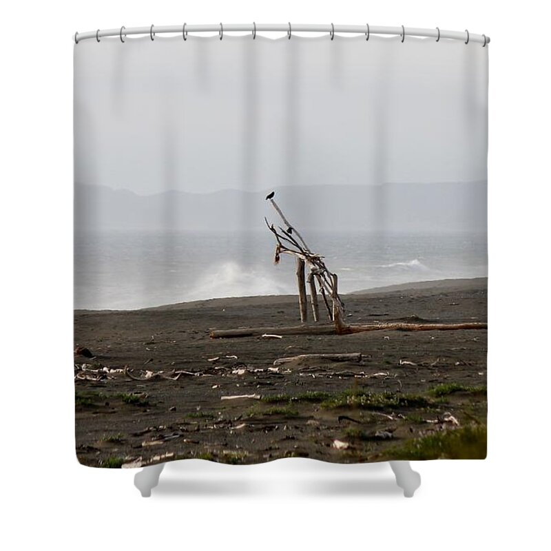 Driftwood Shower Curtain featuring the photograph Driftwood Giraffe by Christy Pooschke