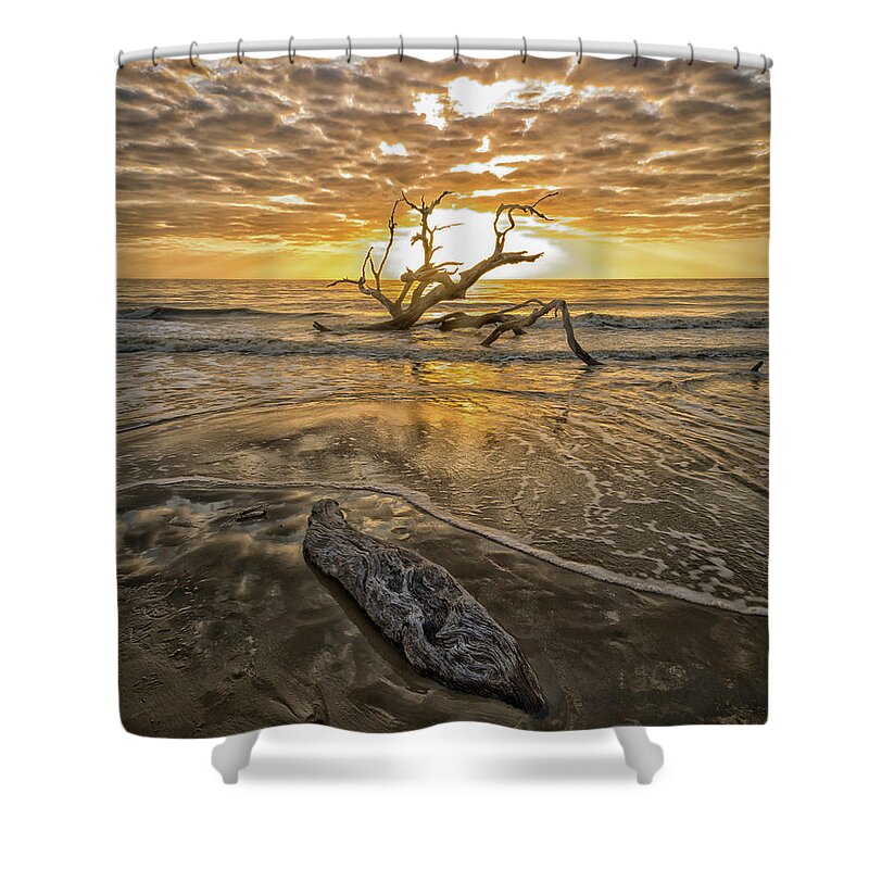 Jekyll Shower Curtain featuring the photograph Driftwood II by Ray Silva
