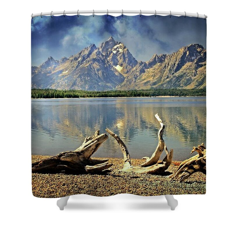 Grand Teton National Park Shower Curtain featuring the photograph Driftwood on Jackson Lake by Marty Koch