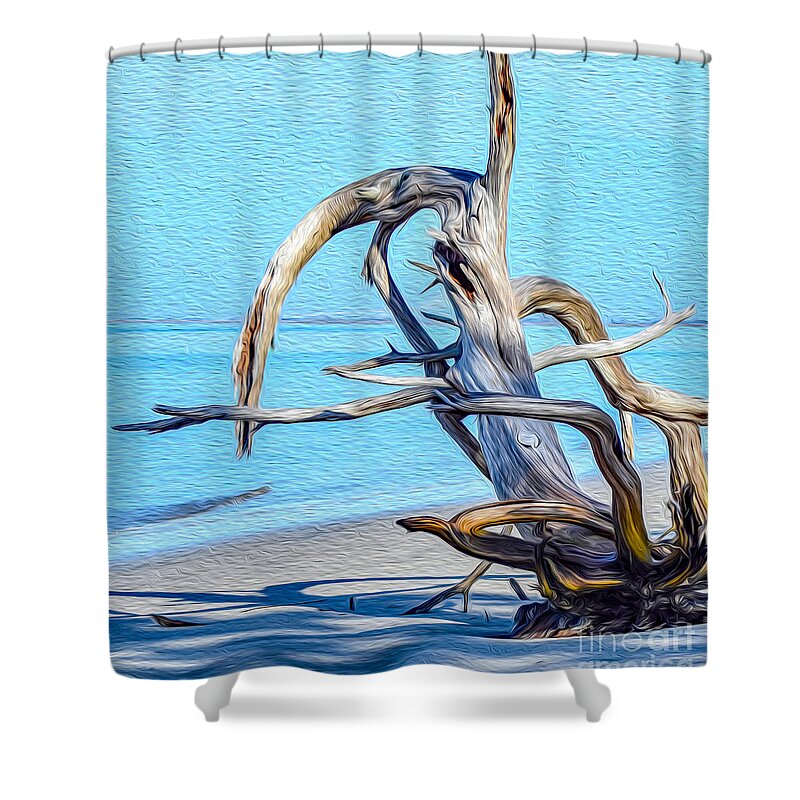 Art Shower Curtain featuring the painting Driftwood on Jekyll by DB Hayes
