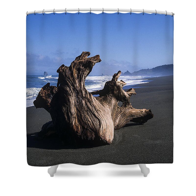 Beach Shower Curtain featuring the photograph Driftwood by Robert Potts