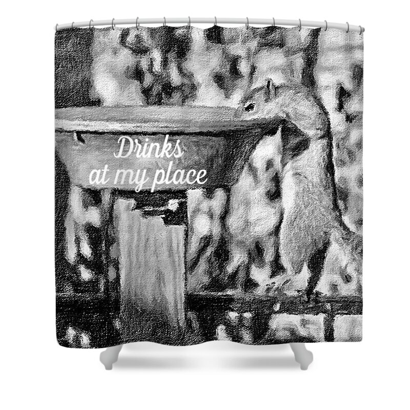 Squirrel Four Legged Animal Backyard Heated Birdbath Water Black Fence Midwest Thirsty Invitation Invite Drinks Shower Curtain featuring the photograph Drinks At My Place by Diane Lindon Coy