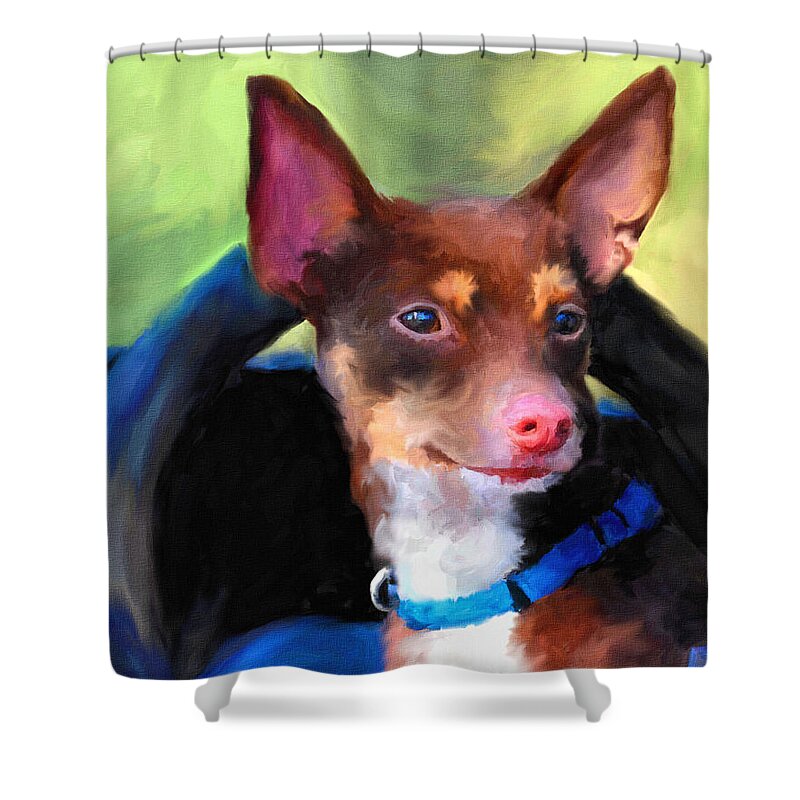 Rat Terrier Shower Curtain featuring the painting Driver's Seat by Jai Johnson