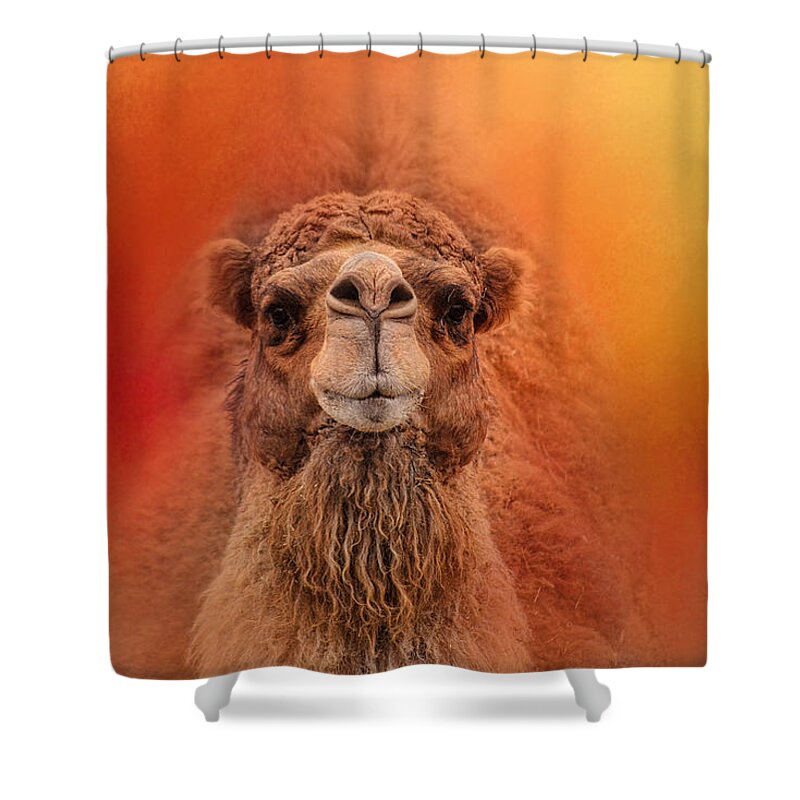 Jai Johnson Shower Curtain featuring the photograph Dromedary Camel by Jai Johnson
