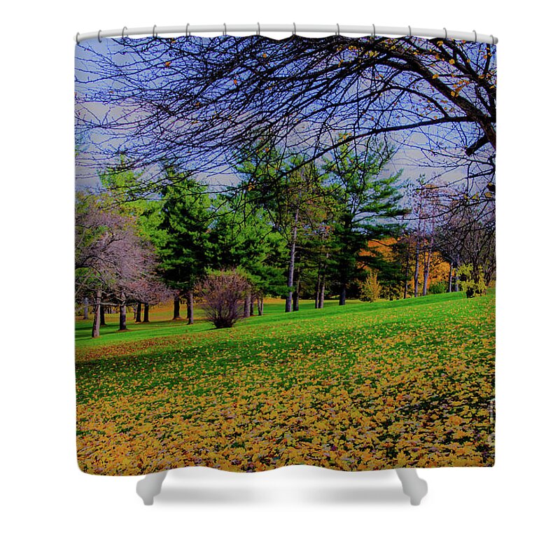 Autumn Shower Curtain featuring the photograph Drop Site by William Norton