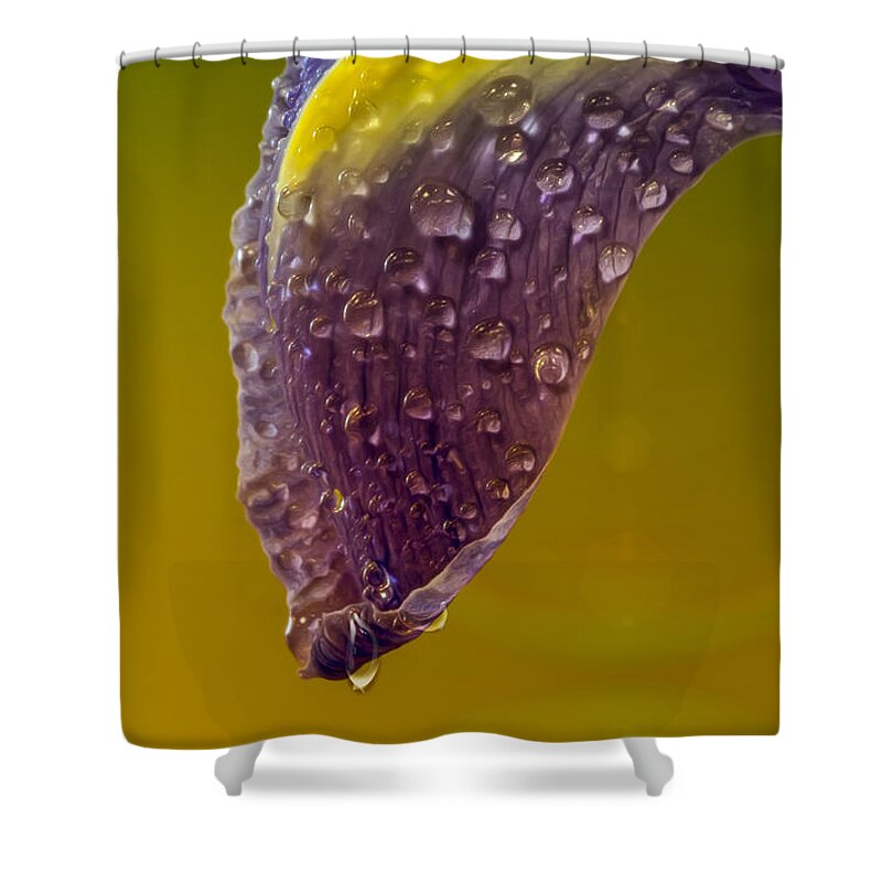 Flower Shower Curtain featuring the photograph Drops Of Bliss by Bill and Linda Tiepelman