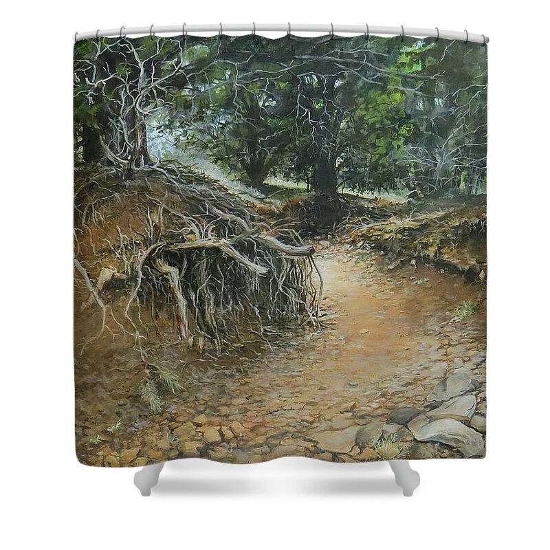 West Shower Curtain featuring the painting Dry Wash by William Brody