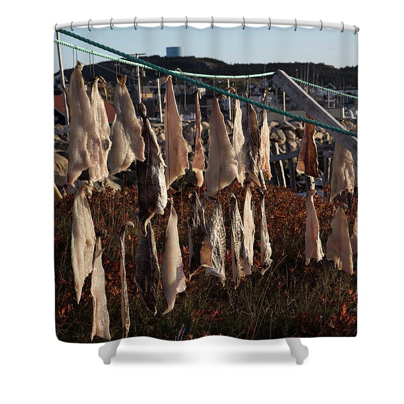 Bonavista Shower Curtain featuring the photograph Drying pieces of salt cod in Bonavista, NL, Canada by Karen Foley