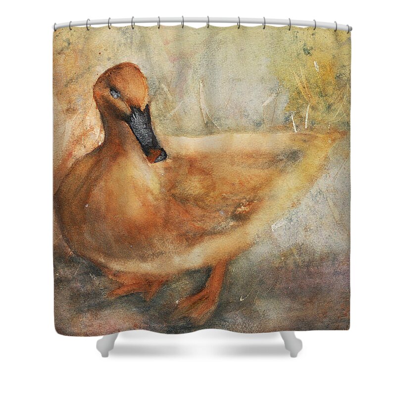 Duck Shower Curtain featuring the painting Duck by Denice Palanuk Wilson
