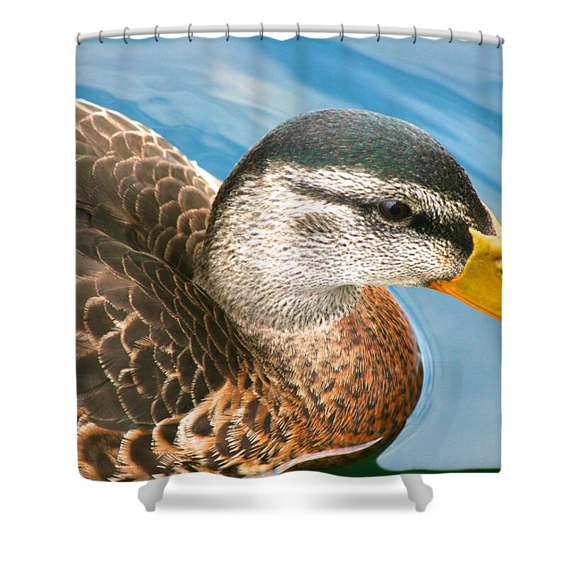  Shower Curtain featuring the photograph Duck with Yellow Beard by Polly Castor