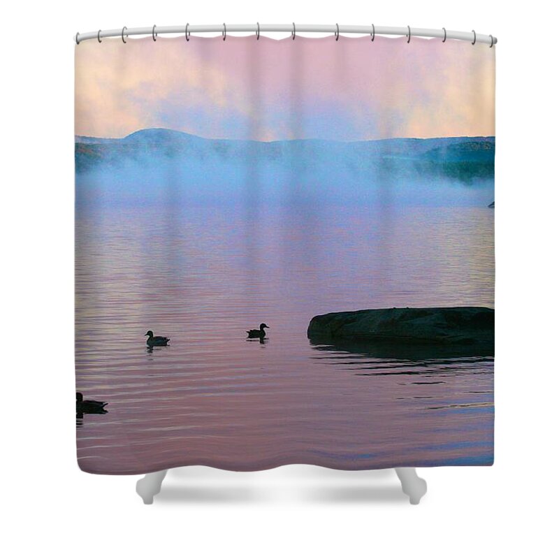  Shower Curtain featuring the photograph Ducks at Dawn by Polly Castor