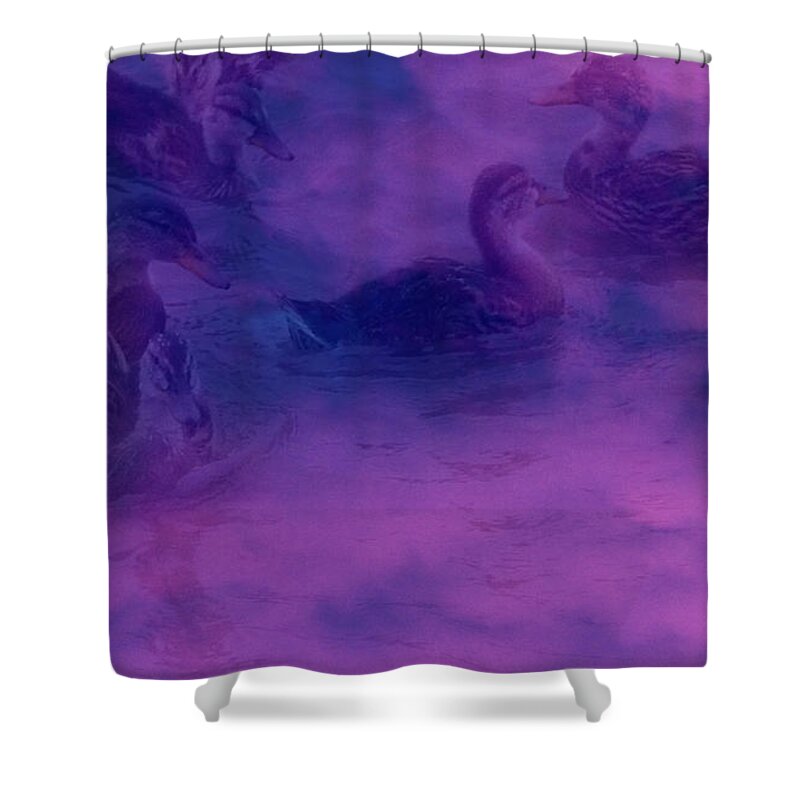 Ducks Shower Curtain featuring the photograph Ducks in A Dream by Kimmary MacLean