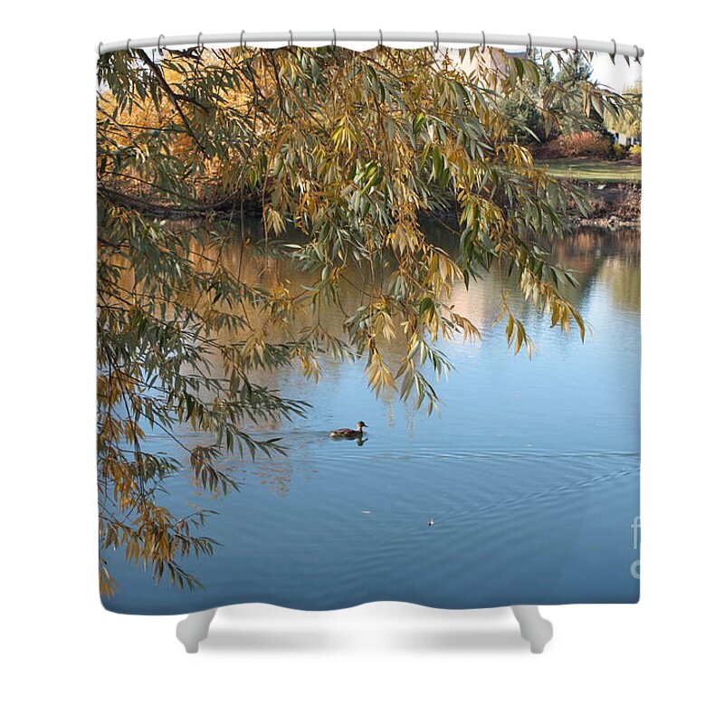 Autumn Ducks Shower Curtain featuring the photograph Ducks on Peaceful Autumn Pond by Carol Groenen
