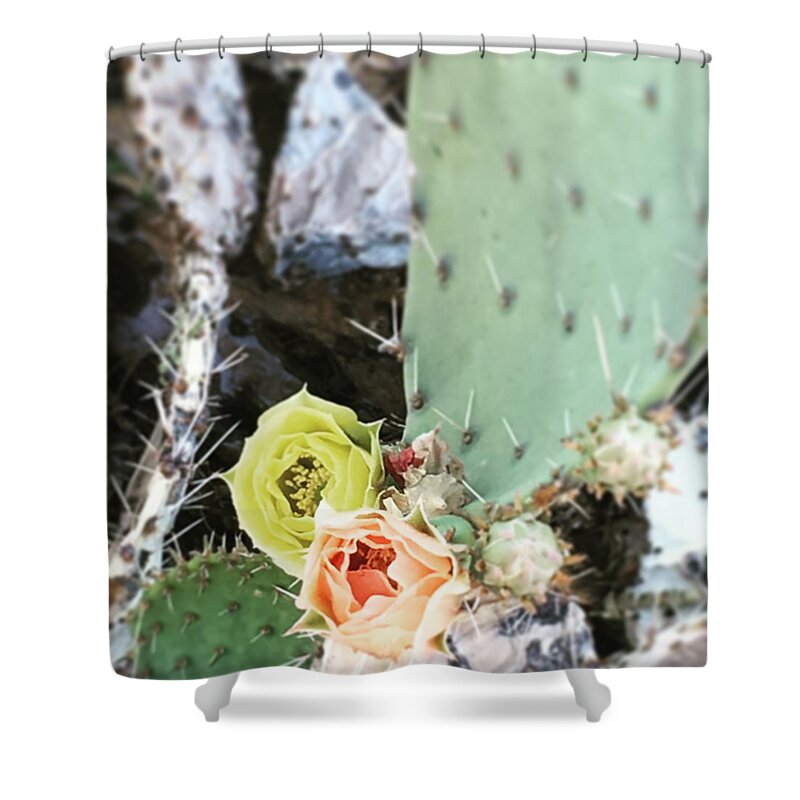 Flower Shower Curtain featuring the photograph Dueling Blooms by Melisa Elliott