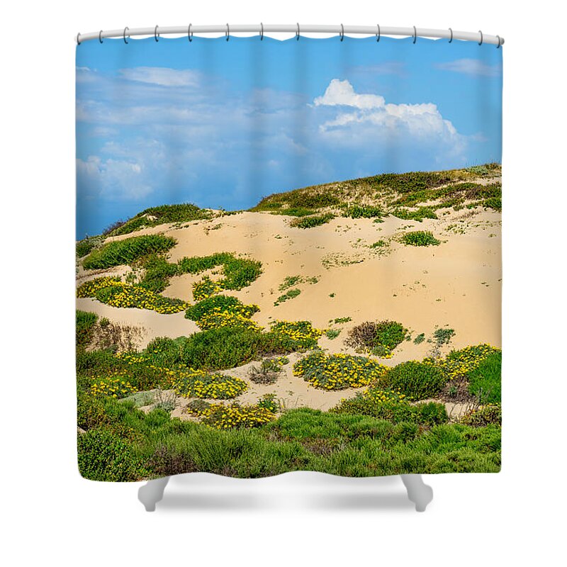 Sand Dune Shower Curtain featuring the photograph Dune Flowers by Derek Dean