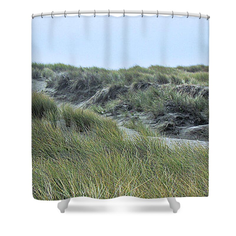 Dunes Shower Curtain featuring the photograph Dunes at Bodega by Joyce Creswell