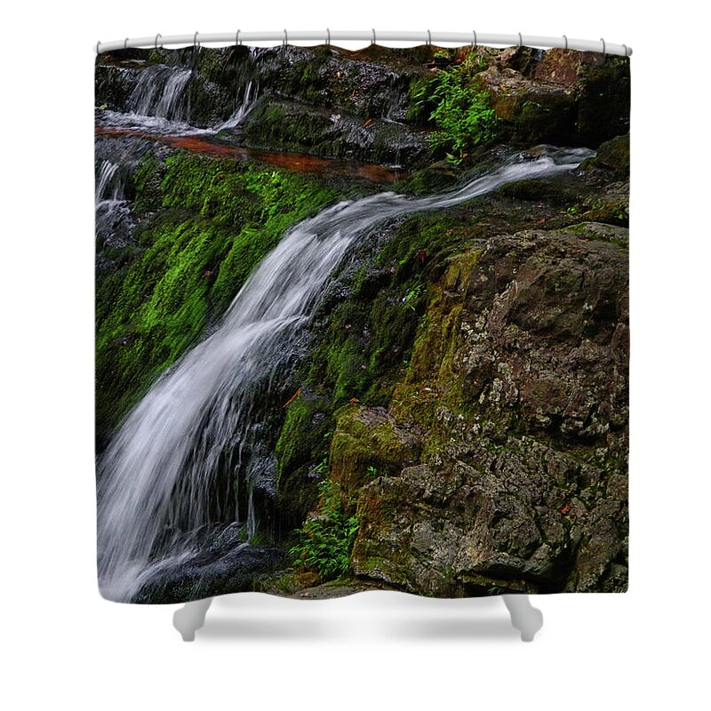 Dunnfield Creek Shower Curtain featuring the photograph Dunnfield Creek Falls 2 by Raymond Salani III