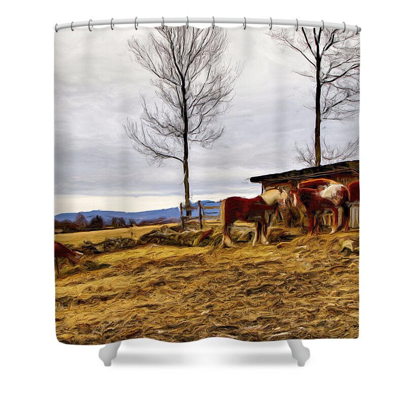 Farm Shower Curtain featuring the photograph Dusk Feeding On The Farm by Betty Pauwels