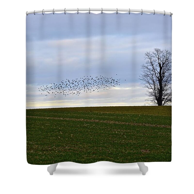 Farmland Shower Curtain featuring the photograph Dusk Tree and Birds by Tana Reiff