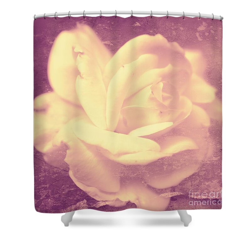 Rose Shower Curtain featuring the photograph Dusky Pink by Clare Bevan