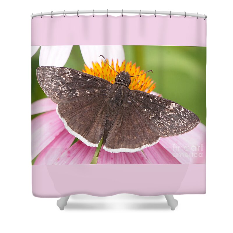 Butterfly Shower Curtain featuring the photograph Duskywing Butterfly on Coneflower by Robert Alter Reflections of Infinity