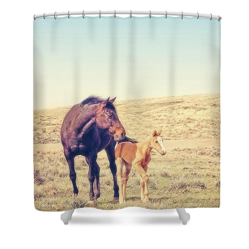 Horse Shower Curtain featuring the photograph Dusty Rose by Amanda Smith