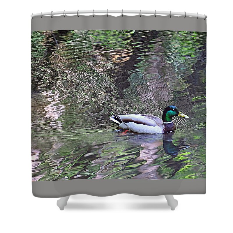 Mallard Shower Curtain featuring the photograph Duck Patterns by Suzy Piatt