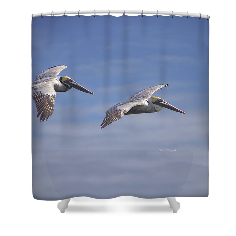 Pelicans Shower Curtain featuring the photograph Dynamic Duo by Phil Mancuso