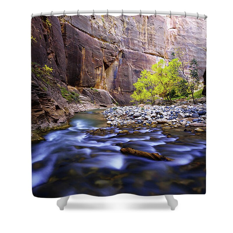 Dynamic Zion Shower Curtain featuring the photograph Dynamic Zion by Chad Dutson