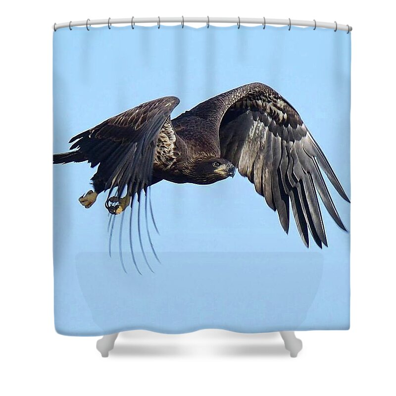Eagles Shower Curtain featuring the photograph E9 flying away by Liz Grindstaff
