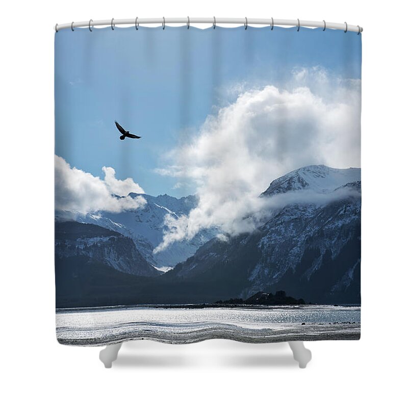 Alaska Shower Curtain featuring the photograph Eagle flying over the Chilkat Inlet by Michele Cornelius