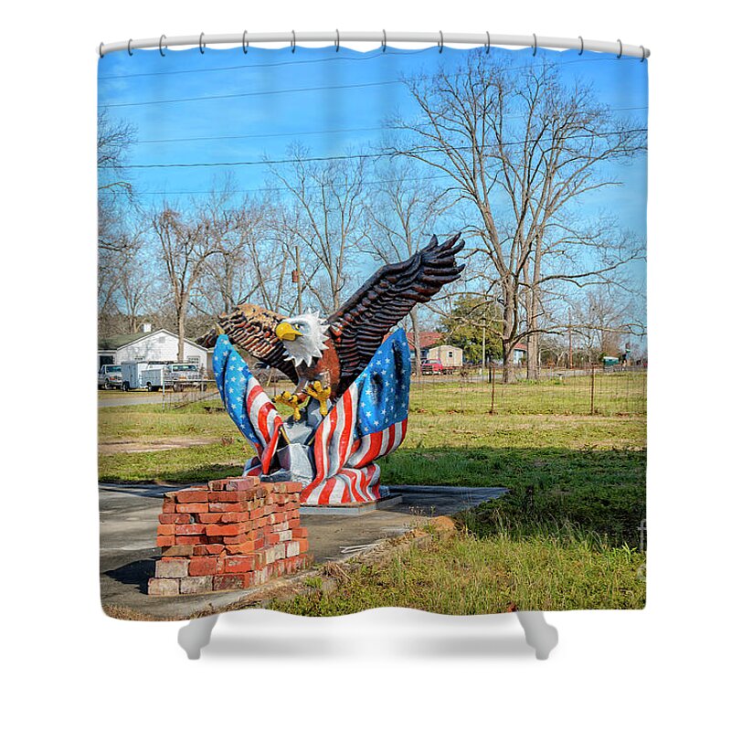 Georgia Shower Curtain featuring the photograph Eagle by Lenore Locken