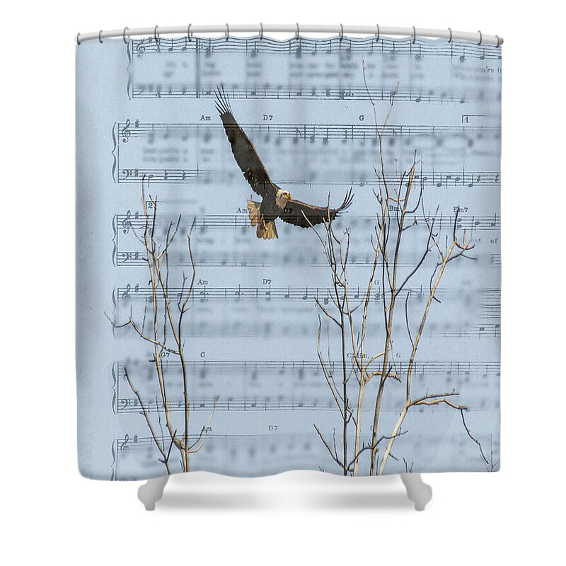Bald Eagle On Sheet Of Music Shower Curtain featuring the photograph Eagle on Sheet of Music by Randy J Heath