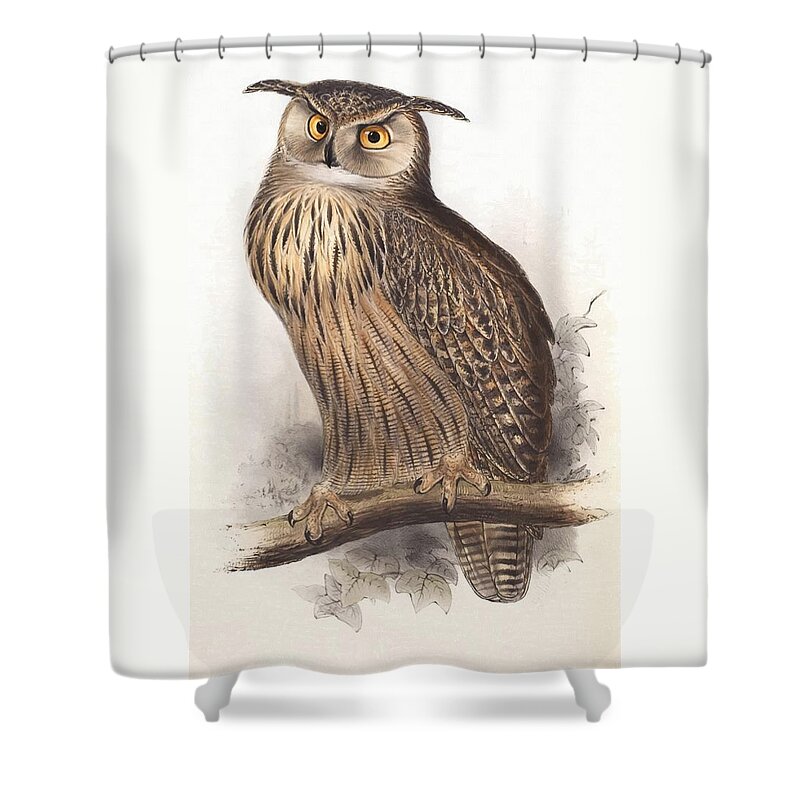 Edward Lear Shower Curtain featuring the painting Eagle Owl by Edward Lear