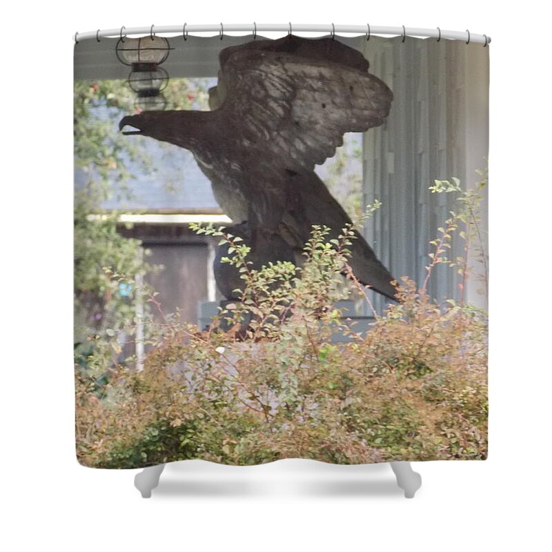 Shelburne Museum Shower Curtain featuring the photograph Eagle Statue by Catherine Gagne
