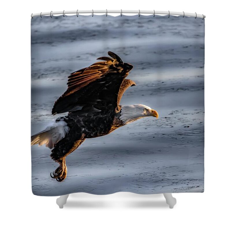 Evening Prayer Shower Curtain featuring the photograph Eagle Vesper by Ray Congrove