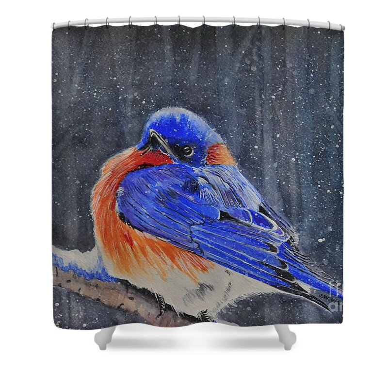 Bluebird Shower Curtain featuring the photograph Early Arrival by John W Walker