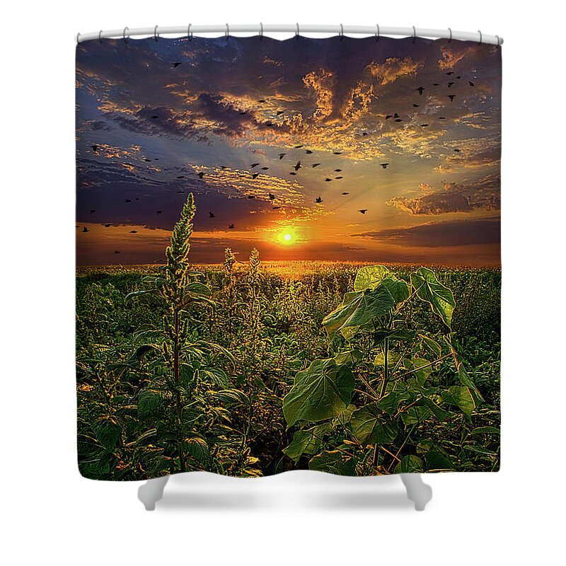 Travel Shower Curtain featuring the photograph Early Bird Special by Phil Koch