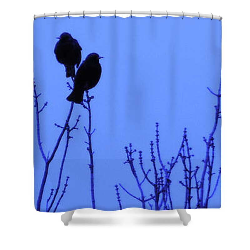 Birds Shower Curtain featuring the photograph Early Birds by Mark Blauhoefer