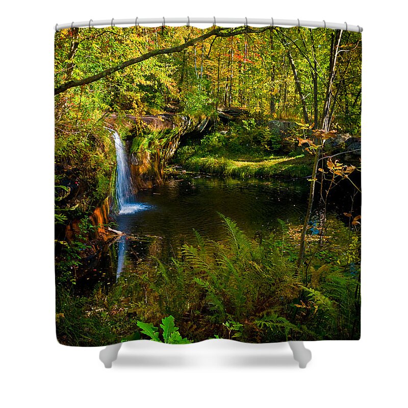 Autumn Shower Curtain featuring the photograph Early Fall Fall by Rikk Flohr